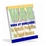 Work At Home Guide To Website Promotion For Small Business